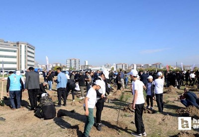 Kahramankazan Belediyesi, fidan dikme etkinliği gerçekleştirdi