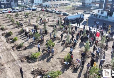 Sincan'da 244 fidan toprakla buluştu!