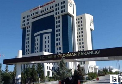 Tarım Orman Bakanlığı'ndan Hırvatistan'da düşen uçağa ilişkin açıklama geldi