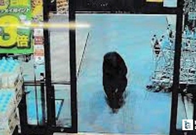 Japonya'da AVM'ye giren ayı operasyonla öldürüldü