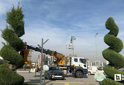 Etimesgut Belediyesi ilçe genelinde budama ve kesim çalışması gerçekleştirdi