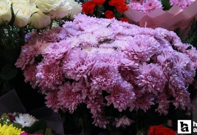 Başkentte Öğretmenler Günü için Kasımpatı tercih edildi