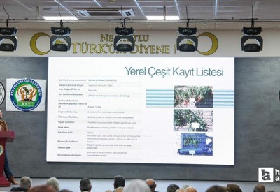 Etimesgut Belediyesi Kışlık Ata Tohumu Takas Etkinliği düzenledi