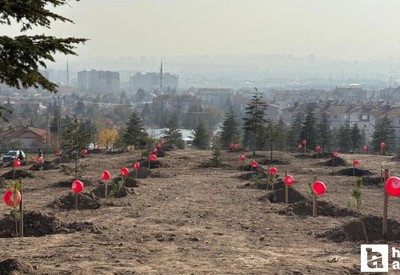 Sincan Belediyesi'nden kadına yönelik şiddete karşı farkındalık etkinliği!