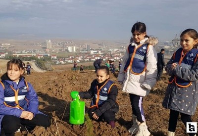 Ankaralı öğrencilerden 'Hatıra Ormanı Karbon Yutak Alanı'
