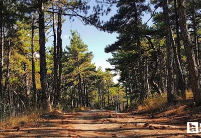 Ankara'nın geçmişi Roma dönemine kadar dayanan doğal güzelliği büyülüyor