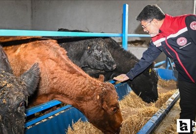 Bakan Yumaklı, Polatlı'da Kırsalda Bereket, Hayvancılığa Destek Projesi'nden yararlanan bir işletmeyi ziyaret etti