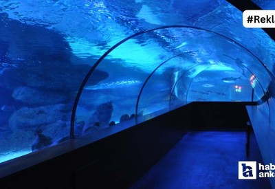 Ankara'nın okyanusa açılan tüneli! İçinde gezilen dev akyaryum: Aqua Vega