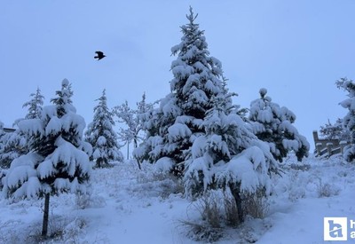 Van’da yoğun kar yağışı nedeniyle Ankara uçak seferleri rötar yaptı