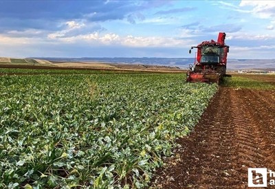 Çiftçi Kayıt Sistemi başvuruları 31 Aralık'ta sona eriyor