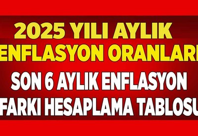 2025 enflasyon oranı 12 aylık! TEFE TÜFE son 6 aylık enflasyon farkı oranı ne kadar?
