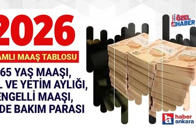 Ocak 2026 zam oranı: 65 yaş yaşlılık aylığı, engelli bakım parası, dul ve yetim maaşı ne kadar, kaç TL oldu?