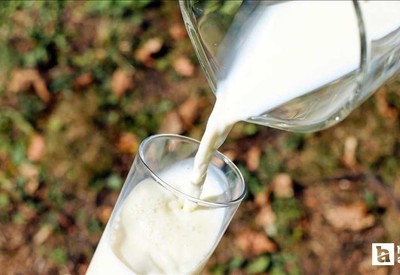 Ulusal Süt Konseyi çiğ süt tavsiye fiyatını belirledi