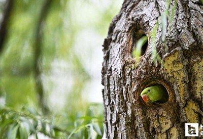 30 sene önce Ankara'da devrilen kamyon bugün nelere neden oldu? Şimdi her yerdeler