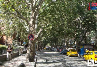 Kızılay’ın Sessiz Yüzü Kumrular Sokak