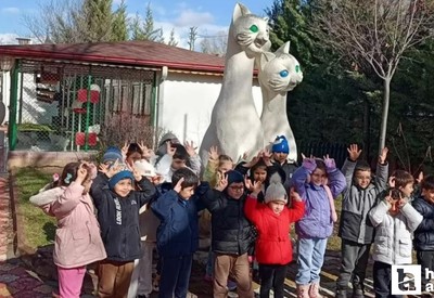 Pursaklar'da minikler kedi evlerini ziyaret etti