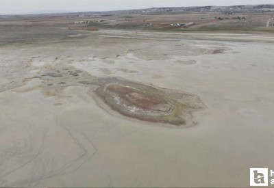 Ankara'da allı turnaların yuvasıydı: Kuraklık vurdu, yok oldu!