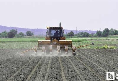 12.8 milyar TL'lik tarımsal destekleme ödemesi bugün yapılacak