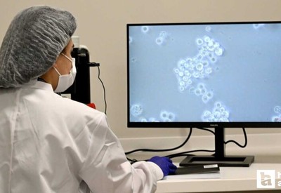 Kan kanseri tedavisinde yeni umut: Hücre tedavisi dönemi start aldı