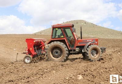 Yozgat'ta tarım işçileri nohut üretiminde yüksek rekolte bekliyor