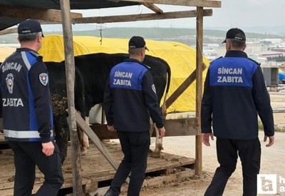 Sincan Belediyesi kurban pazarlarını denetlemeye devam ediyor!