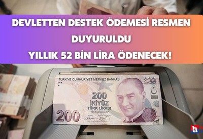 Milyonlara yıllık 52 bin lira ödenecek! Devletten destek ödemesi resmen duyuruldu kimliğinizle başvurun