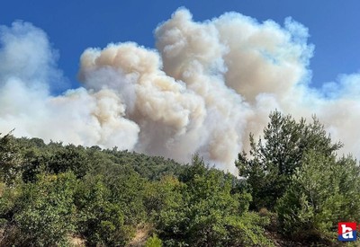 Manisa'daki orman yangını söndürüldü! Soğutma çalışmaları devam ediyor