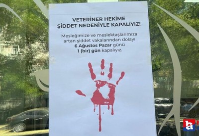 Ankara'da veteriner hekimlerden şiddete tepki için 'klinik kapatma' eylemi