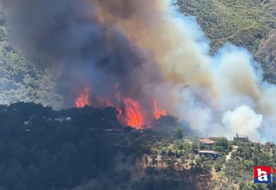 Hatay'da orman yangını çıktı! Müdahale devam ediyor!