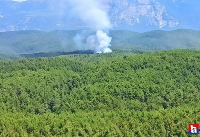 Orman yangınları bitmek bilmiyor! Bir yangında o ilde çıktı!