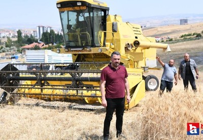 Pursaklar Belediyesi'nin çabalarıyla ekilen sebze ve meyvelerde hasat başladı!