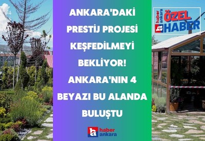 Pursaklar Belediyesi'nin prestij projesi keşfedilmeyi bekliyor! Ankara'nın 4 beyazı bu alanda buluştu