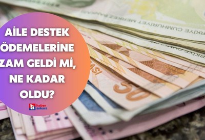 Aile Destek ödemelerine zam geldi mi, ne kadar oldu?