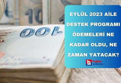 Eylül 2023 Aile Destek Programı ödemeleri ne kadar oldu, ne zaman yatacak?