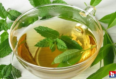Uzman isim açıkladı resmen şifa dağıtıyor! Limon otu faydalarını bilmeyen kalmasın