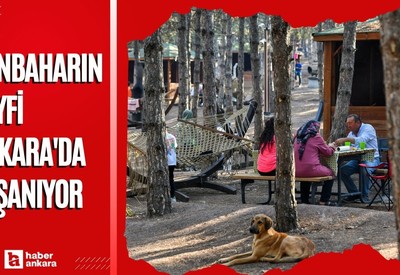 Sonbaharın keyfi Ankara'da yaşanıyor