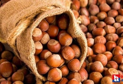 7 Kasım TMO ve serbest piyasa fındık alım fiyatları ne kadar?