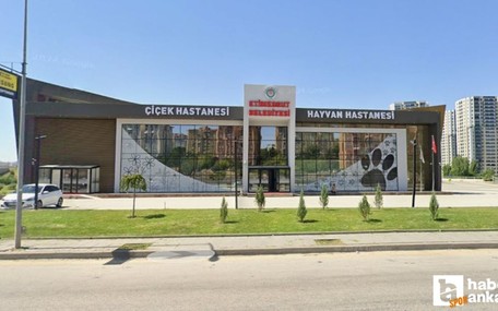 Etimesgut Belediyesi'nin Çiçek Hastanesi sosyal medyada gündem oldu