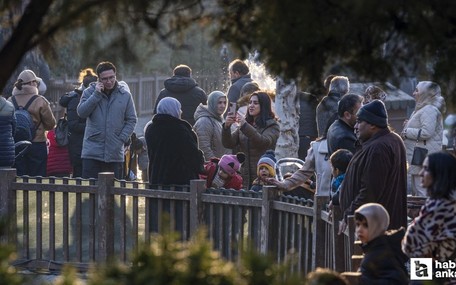Ankaralılar yeni yılın ilk gününde Kuğulu Park'ı ziyaret etti