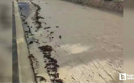 Nallıhan'da sağanak yağış sele neden oldu