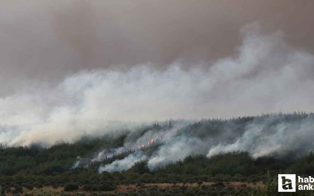 Devam eden Çanakkale Gelibolu yangını dron ile görüntülendi!