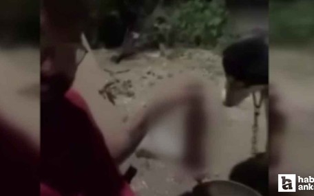 Polatlı'da bir kişinin köpeğine alkol içirdiği görüntüler tepki çekti
