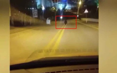 Kızılcahamam'da sokakta gezen ayı görüntülendi