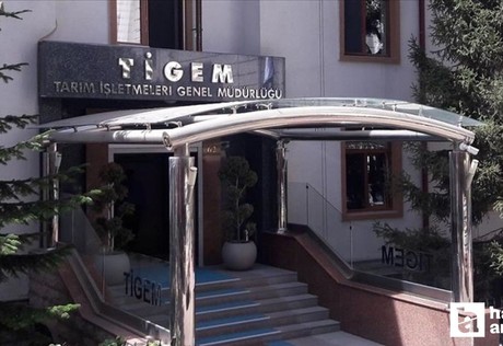 TİGEM Ankara'da düzenlecek ihale ile 1000 reforme küçükbaş hayvan satacak