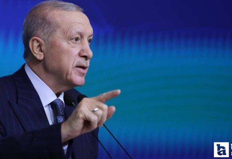 Cumhurbaşkanı Erdoğan'dan başıboş köpek sorunu için muhalefete mesaj!