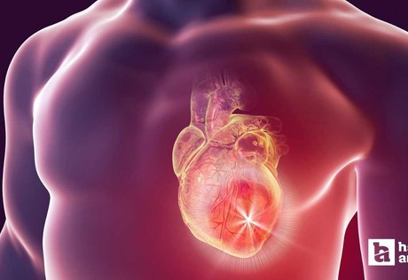 Kalp krizi riskine karşı düzenli doktor kontrolü önerildi!