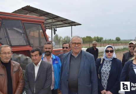 Konya’nın 'yeşil altını' kenevirde hedef büyüdü