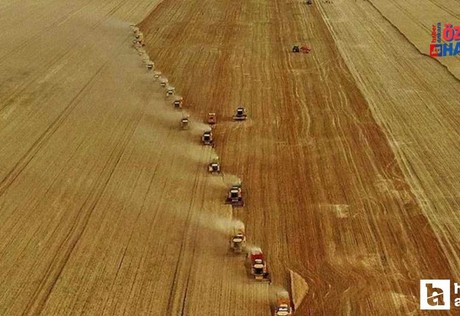 Cumhurbaşkanı imzaladı: Türkiye'de genel tarım sayımı yapılacak!