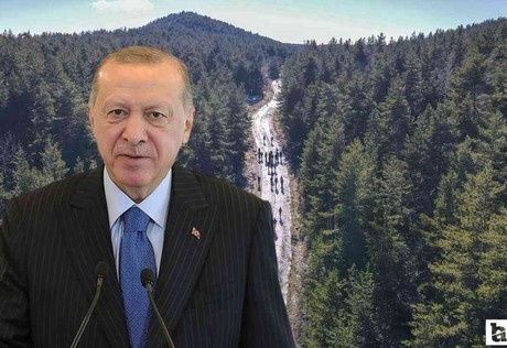 Cumhurbaşkanı Erdoğan Etimesgut Havaalanı'nda konuştu: 'Orman varlığımız tehdit altında'