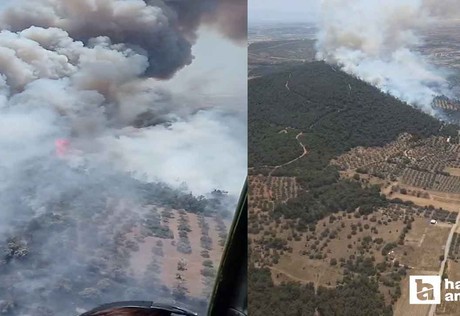İzmir Foça son dakika orman yangını: Yangın hızla büyüyor!